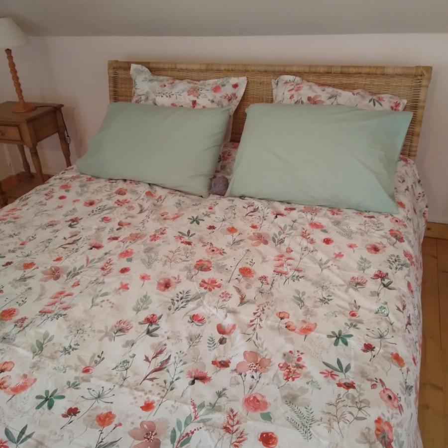 Les Dames De La Saugiat Bed & Breakfast Le Fied Eksteriør bilde